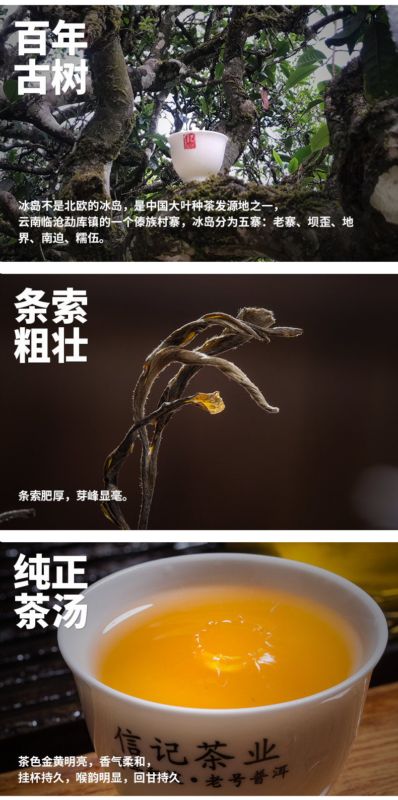 2013年信记古树冰岛普洱生茶- 勐海信记茶业有限公司,信记古树,信记普洱