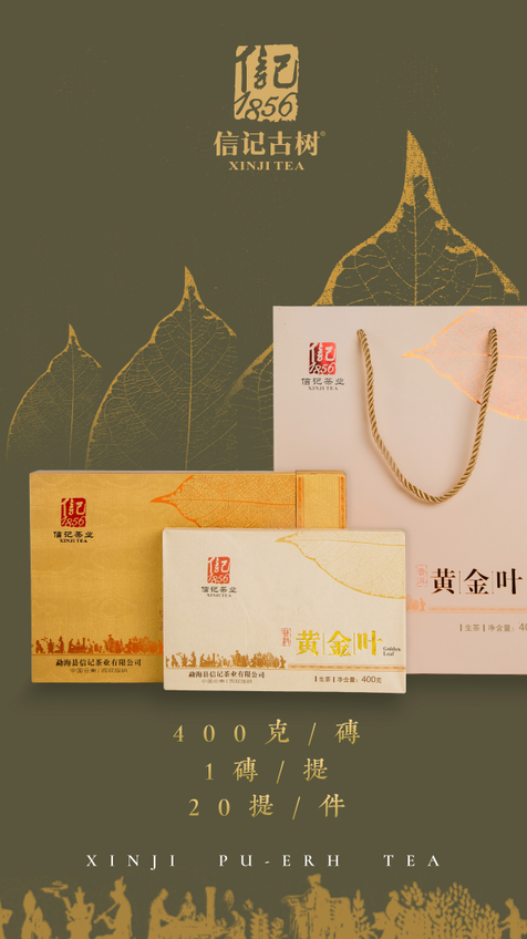 独具韵味的普洱茶，信记【黄金叶】 - 勐海信记茶业有限公司,信记古树