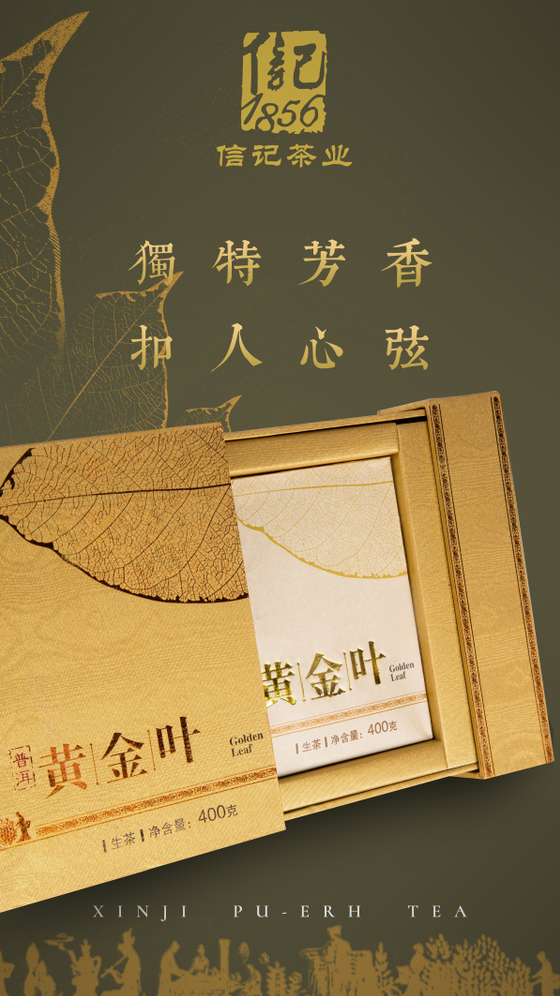 独具韵味的普洱茶，信记【黄金叶】 - 勐海信记茶业有限公司,信记古树